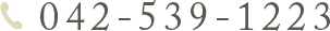 042-539-1223